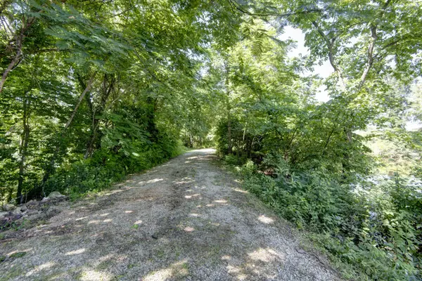 2210 Diggins RD, Seymour, MO 65746