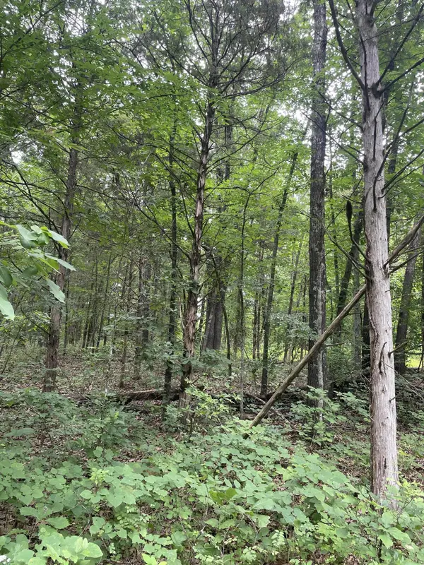 2980 County Road 855, Thornfield, MO 65762