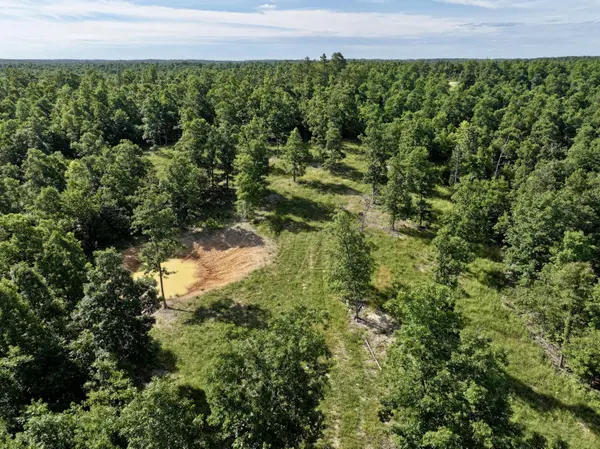 000 County Road Ff-459, Birch Tree, MO 65438