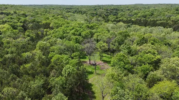 000 County Road 333, Polk, MO 65727