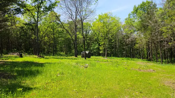 000 County Road 333, Polk, MO 65727