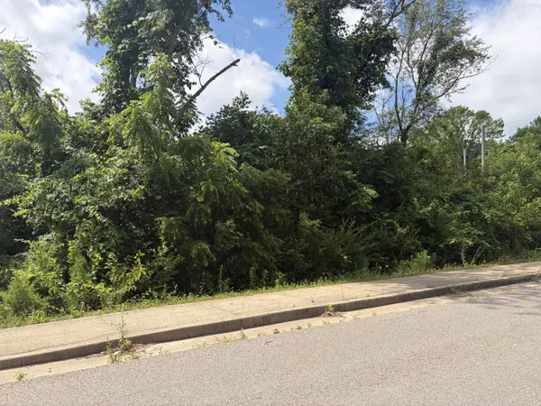 000 Ward ST, Birch Tree, MO 65438