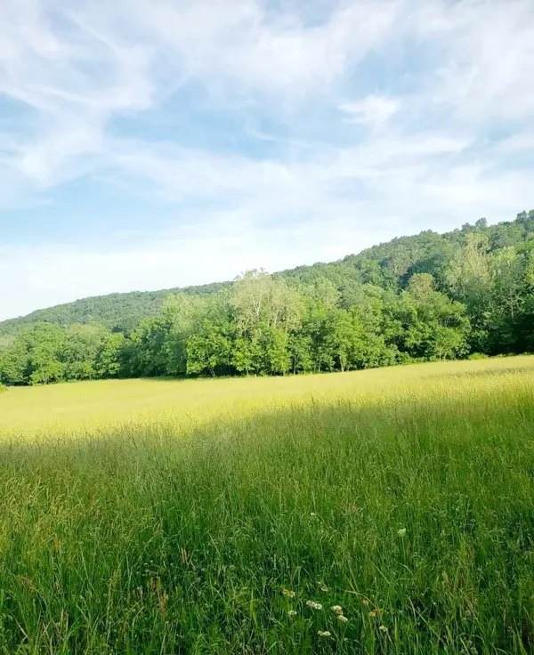 2670 County Road 132, Wasola, MO 65773
