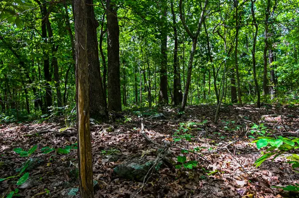 5760 NE 817 Pvt RD, Osceola, MO 64776