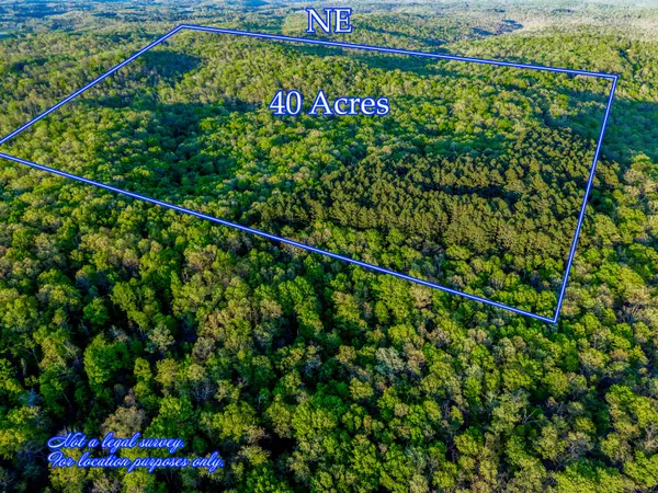 000 County Road 1990, Willow Springs, MO 65793