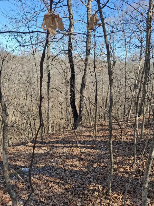 6237 Hunters Glen RD, Seligman, MO 65745