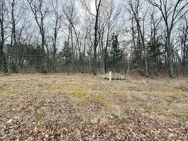 Lots 81/82 Green Cypress Lane, Shell Knob, MO 65747