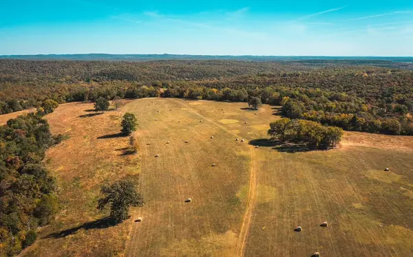 003 Gunnison RD, Kirbyville, MO 65679