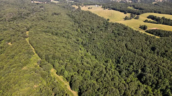 000 Private Drive Off Of Fr 1245, Aurora, MO 65605