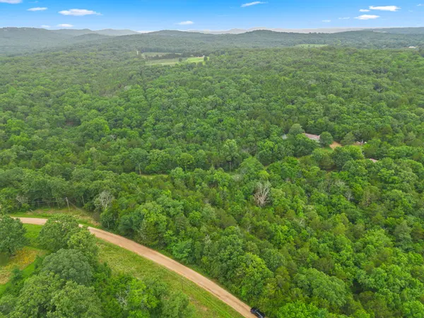 Lot 23 Cedar Reef, Lampe, MO 65681