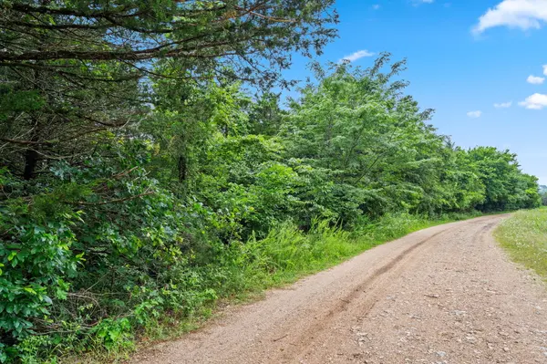 Lot 23 Cedar Reef, Lampe, MO 65681