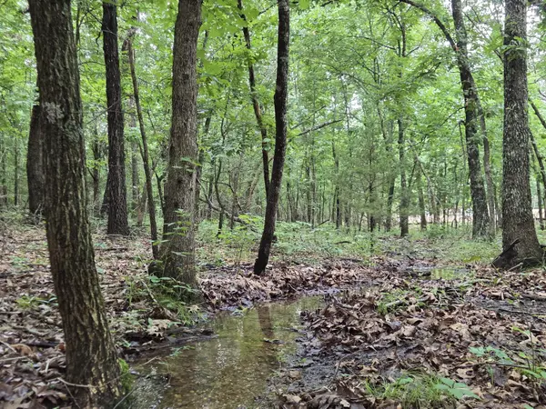 000 Golf Course RD, Marshfield, MO 65706