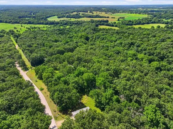 100 Muleshoe TRL, Elkland, MO 65644