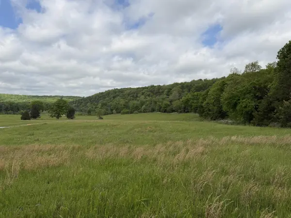 000 Northfork Village St. Lot 1 ST, Tecumseh, MO 65760