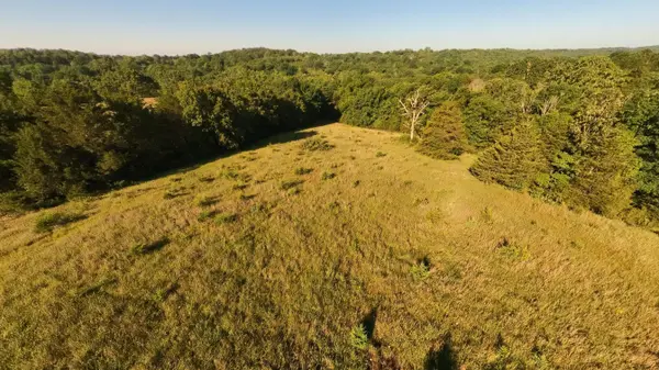 000 Foxden Drive Lot 2, Gainesville, MO 65655