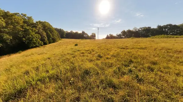 000 Foxden Drive Lot 3, Gainesville, MO 65655