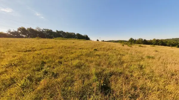 000 Foxden Drive Lot 3, Gainesville, MO 65655