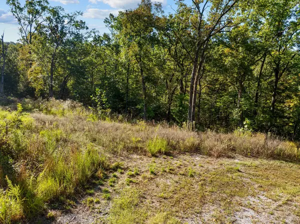 13789 N Branch RD, Omaha, AR 72662