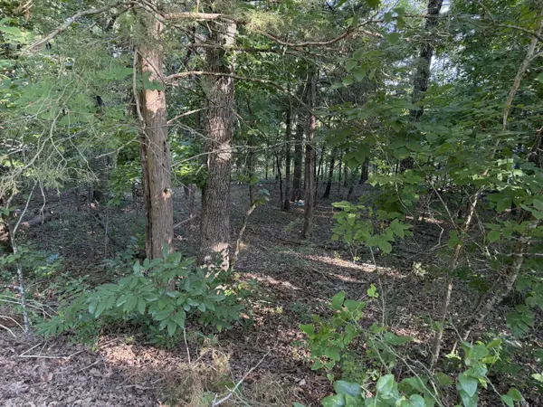 000 Cedar LN, Rockaway Beach, MO 65740