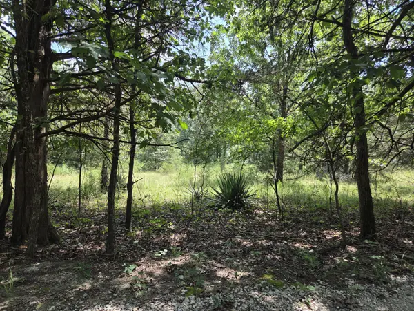Tbd Green Briar DR, Branson, MO 65616