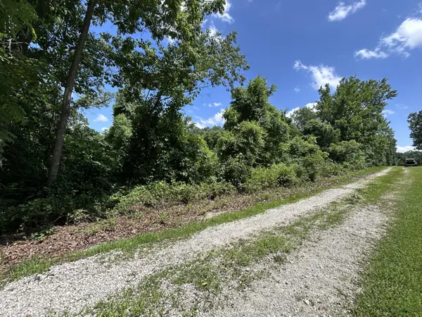 000 Mcdonald PL #Tract 2 Quail Trails, Shell Knob, MO 65747