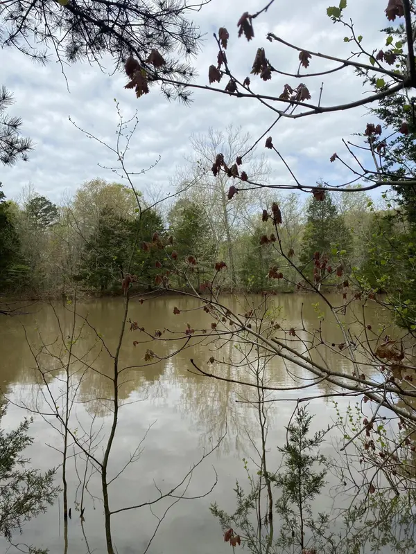 3365 County Road 153, Gainesville, MO 65655