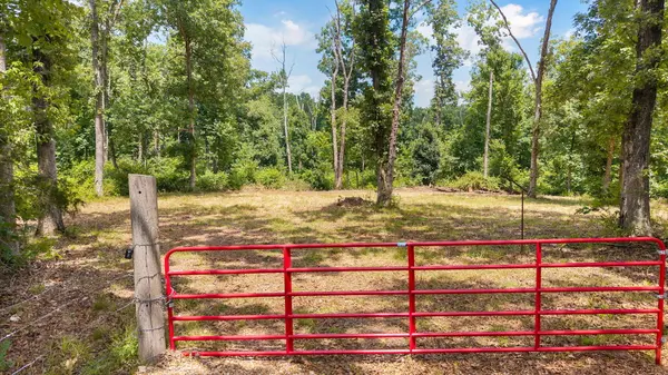 500 N Farm Rd 227, Strafford, MO 65757