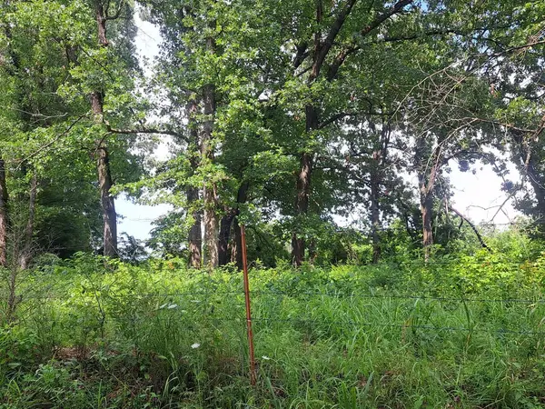 000 Little Mill RD, Granby, MO 64844