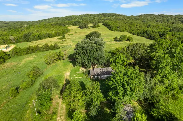 550 County Road 900, Theodosia, MO 65761