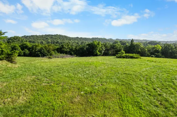550 County Road 900, Theodosia, MO 65761