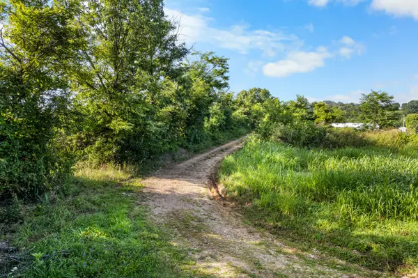 550 County Road 900, Theodosia, MO 65761