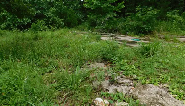 4286 SE 871 RD, Collins, MO 64738