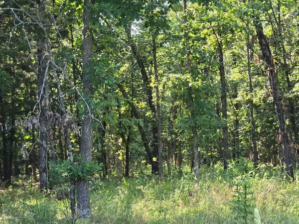 000 State Highway 65, Louisburg, MO 65685