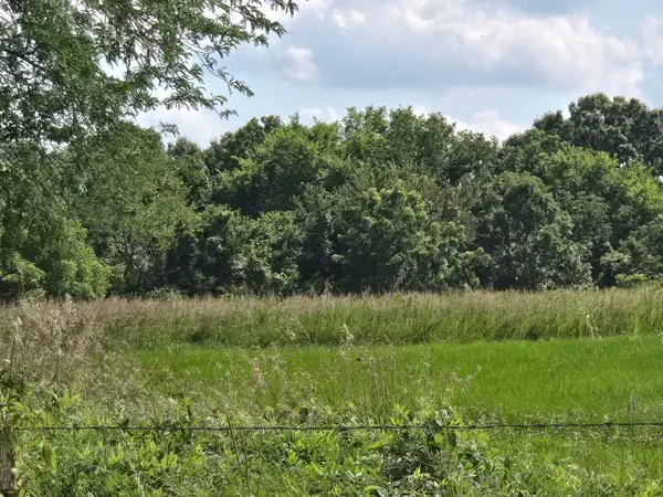 000 Darter RD, Elkland, MO 65644