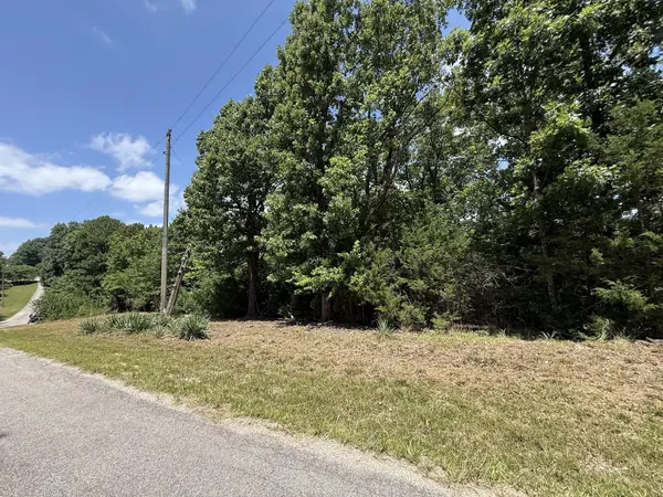 Lot 14&15 Mountain Estate DR, Blue Eye, MO 65611