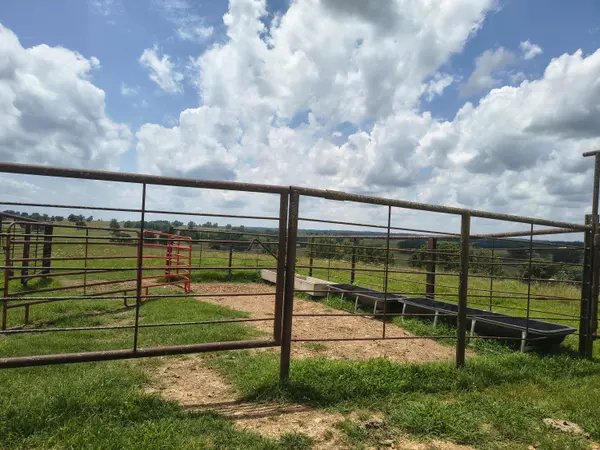 25059 W State Highway Tt, Crane, MO 65633