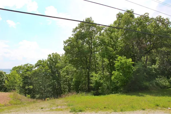 2291 State Hwy 265, Branson, MO 65616