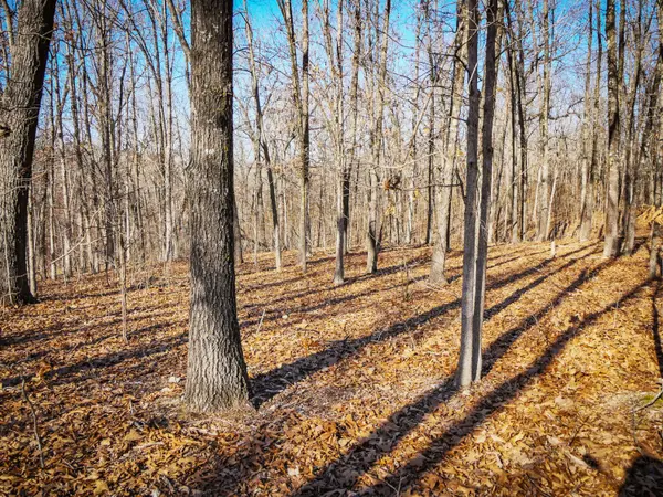 000 Ridge Trail RD #Lot D, Tunas, MO 65764
