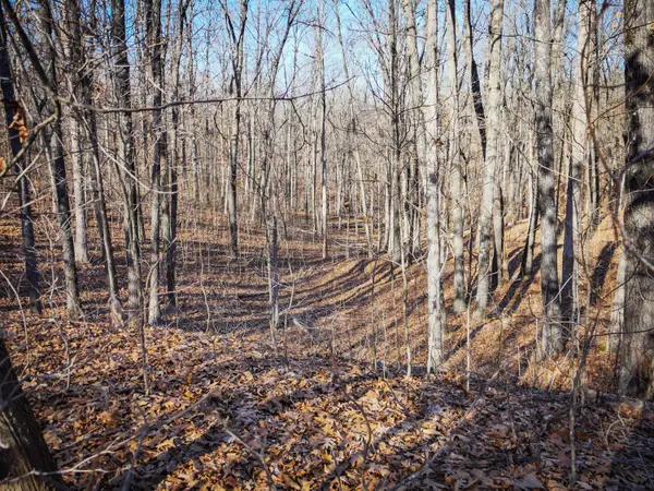 000 Ridge Trail RD #Lot D, Tunas, MO 65764