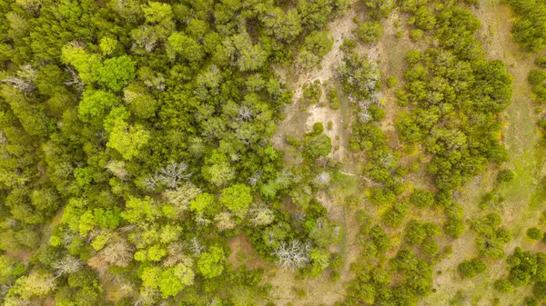 Tract 3 Little Woods RD, Elizabeth, AR 72531