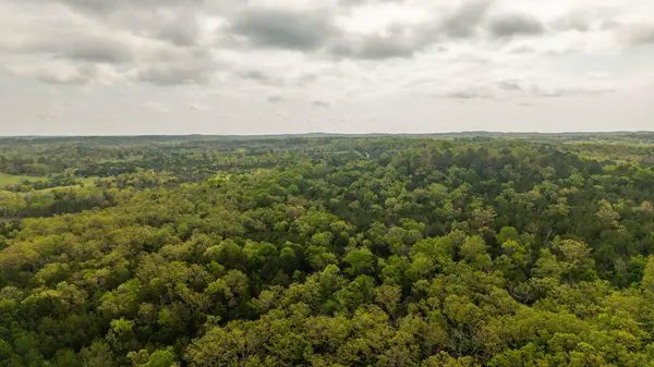 Tract 8 Little Woods RD, Elizabeth, AR 72531