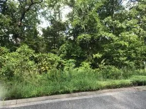 75 Skylee DR, Hollister, MO 65672