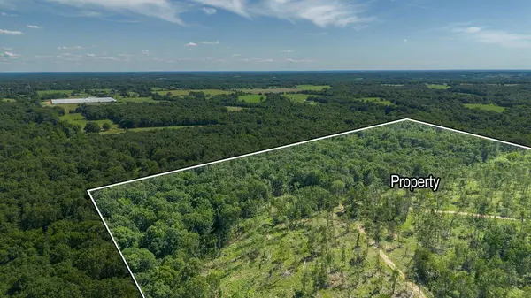 Lot 3 Adams RD, Goodman, MO 64843