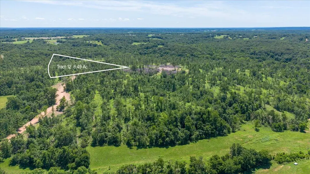 Lot 12 Adams RD, Goodman, MO 64843