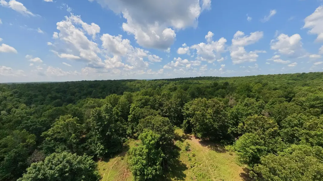 10824 Upper Janes Creek RD, Ravenden, AR 72459