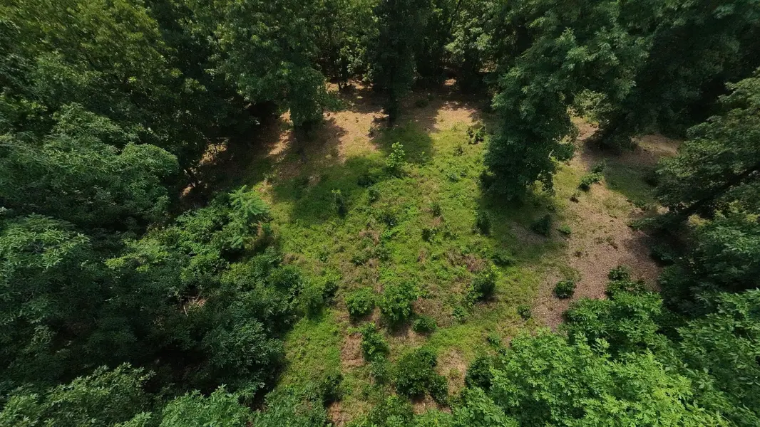 Tract 4 Upper Janes Creek RD, Ravenden, AR 72459
