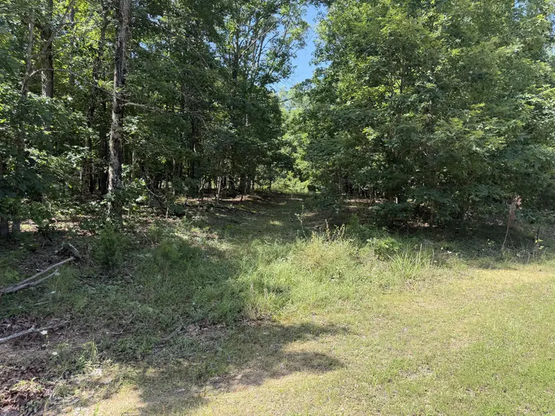 000 Golden TRL #Lot 79, Raymondville, MO 65555