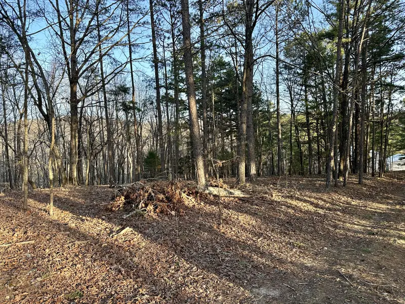 000 Brown Road Lot, Van Buren, MO 63965