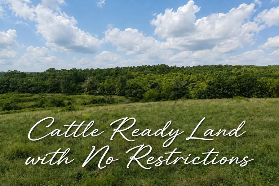 Tbd State Highway E, Hartville, MO 65667