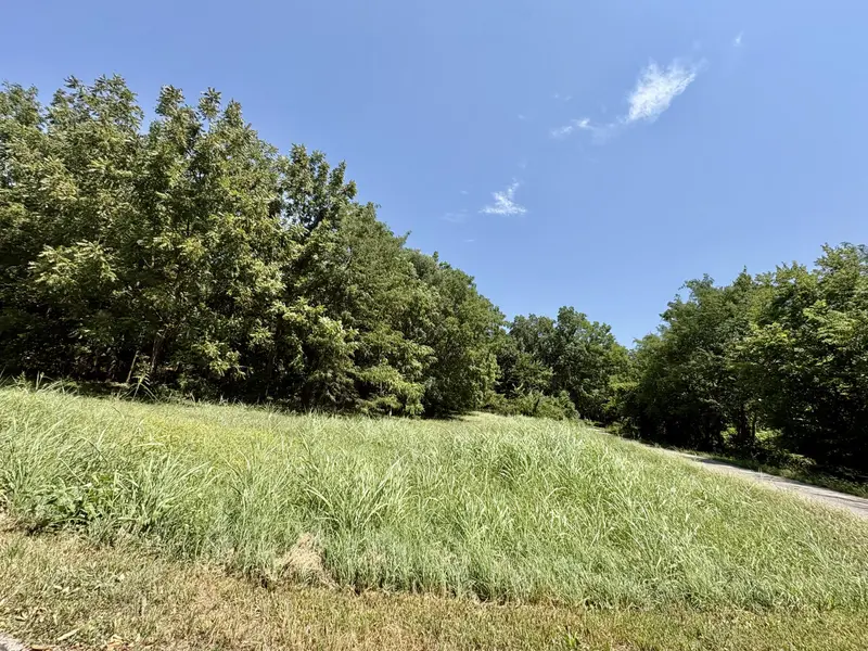 665 Meng ST, Greenfield, MO 65661